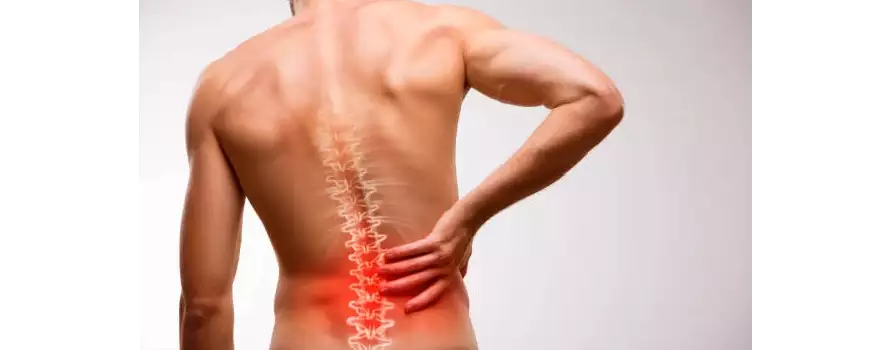 Ayurvedic Oil for Back Pain