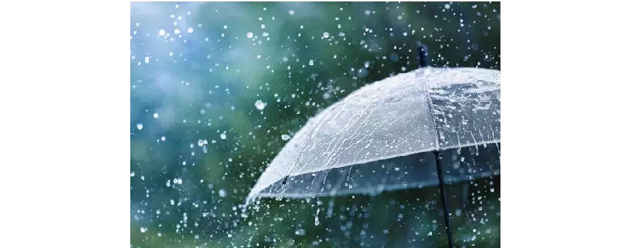 Ayurvedic Tips for the Rainy Season