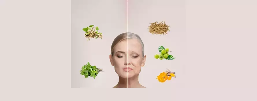 5 Ayurvedic Herbs for Anti-ageing