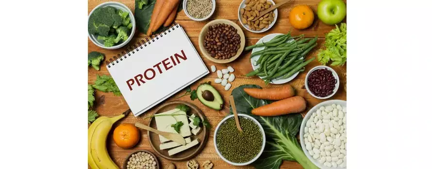 Ayurvedic view on protein 1