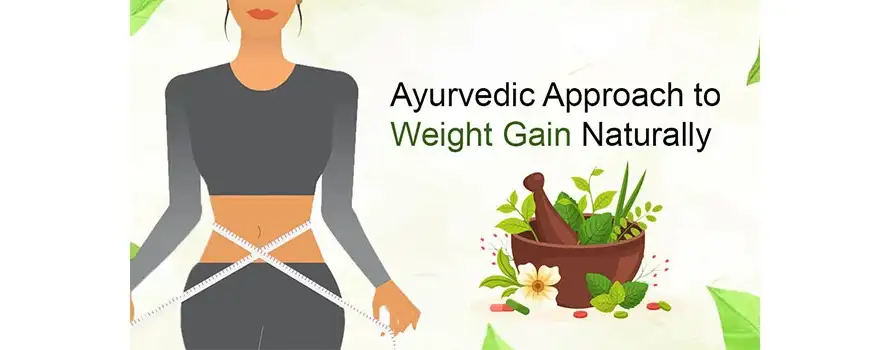 Ayurvedic Approach to Weight Gain Naturally 1