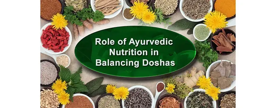 Role of Ayurvedic Nutrition in Balancing Doshas 1