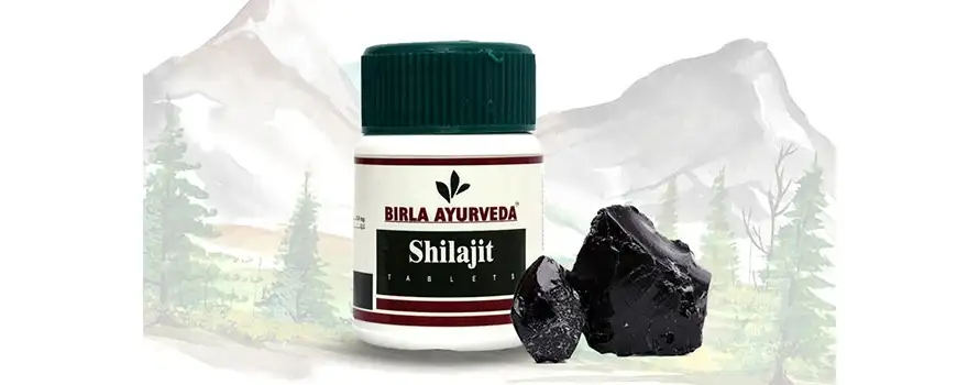 Shilajit in Ayuurveda 1