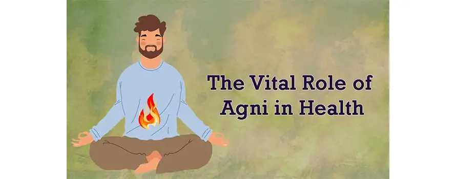The Vital Role of Agni in Health 1