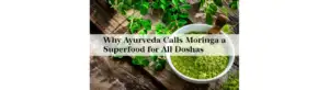Why Ayurveda Calls Moringa a Superfood for All Doshas 1